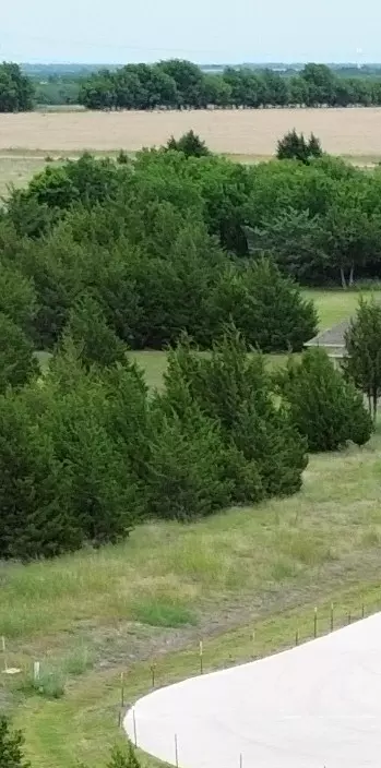 Tbv Evergreen Way, Nevada, TX 75173