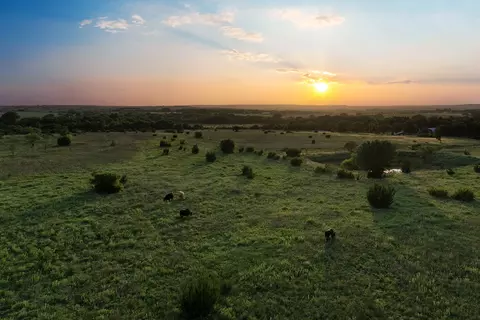 15313 Margarita Ct, Lipan, TX 76462