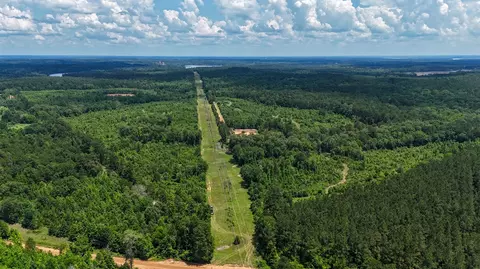 000 Avinger Cutoff Rd, Avinger, TX 75630