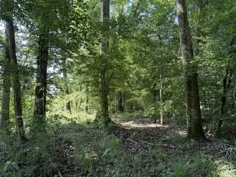 949 Ford Rd, Homer, LA 71040