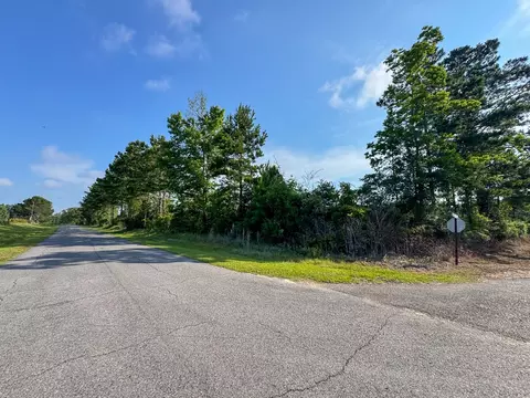 1 Ellis West Road, Pitkin, LA 70656 photo 11
