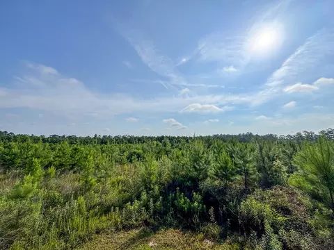 1 Ellis West Road, Pitkin, LA 70656 photo 6