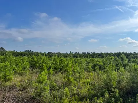 1 Ellis West Road, Pitkin, LA 70656 photo 5