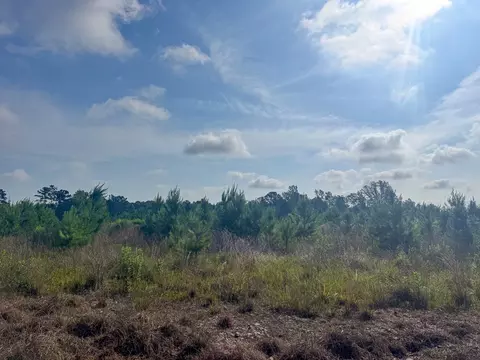 1 Ellis West Road, Pitkin, LA 70656 photo 13