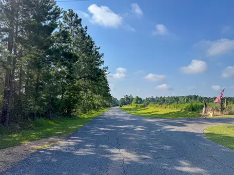 1 Ellis West Road, Pitkin, LA 70656 photo 3