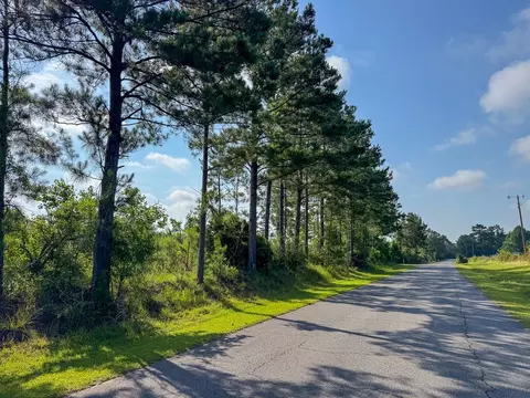 1 Ellis West Road, Pitkin, LA 70656 photo 8