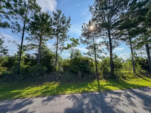 1 Ellis West Road, Pitkin, LA 70656 photo 9