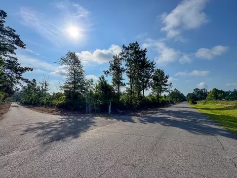1 Ellis West Road, Pitkin, LA 70656 photo 12