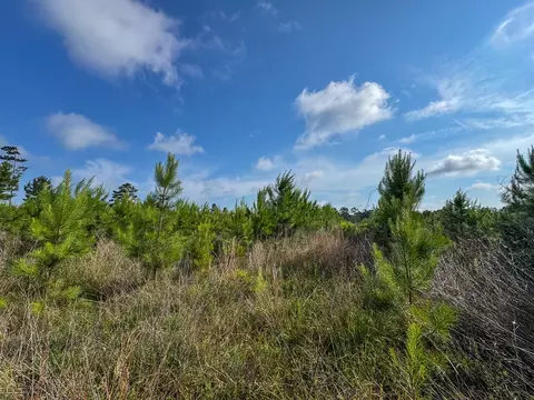 1 Ellis West Road, Pitkin, LA 70656 photo 14