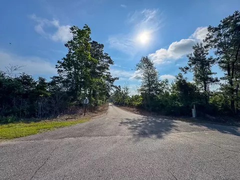 1 Ellis West Road, Pitkin, LA 70656 photo 10
