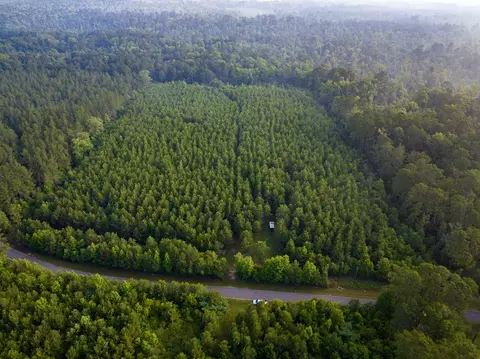 T-1 Dido Loop, Pitkin, LA 70656 photo 12