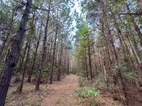 T-1 Dido Loop, Pitkin, LA 70656 photo 8