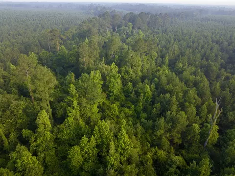 T-1 Dido Loop, Pitkin, LA 70656 photo 11
