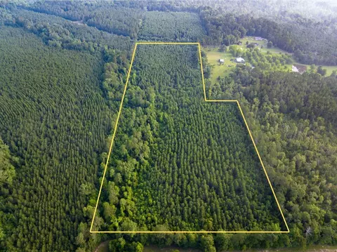 T-1 Dido Loop, Pitkin, LA 70656