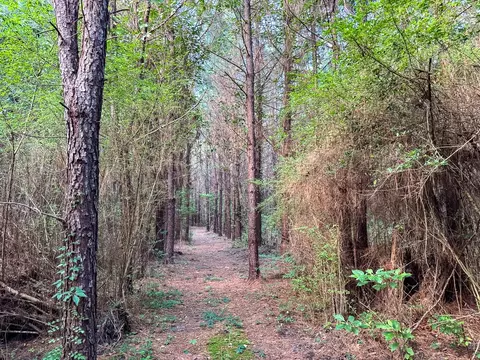 T-1 Dido Loop, Pitkin, LA 70656 photo 5
