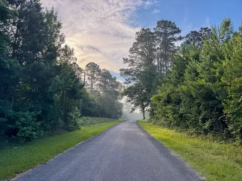 T-2 Dido Loop, Pitkin, LA 70656 photo 3