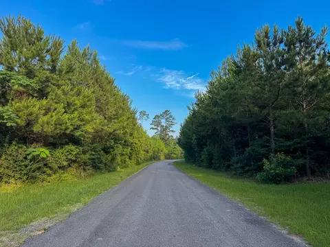 T-2 Dido Loop, Pitkin, LA 70656 photo 4