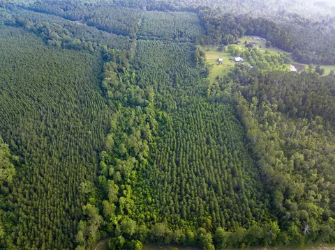 T-2 Dido Loop, Pitkin, LA 70656 photo 9