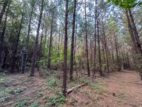 T-2 Dido Loop, Pitkin, LA 70656 photo 7