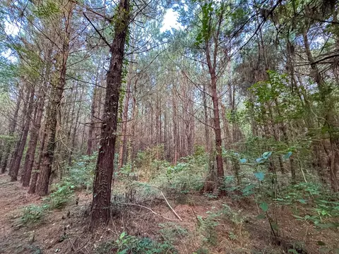 T-2 Dido Loop, Pitkin, LA 70656 photo 6