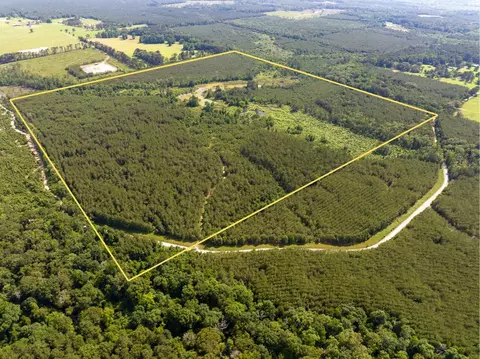 0 Ferguson Rd, Coushatta, LA 71019