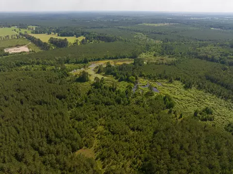 0 Ferguson Rd, Coushatta, LA 71019 photo 10