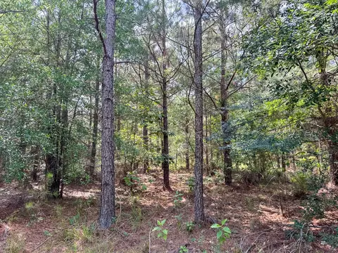 0 Ferguson Rd, Coushatta, LA 71019 photo 7