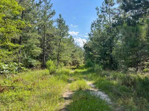 0 Ferguson Rd, Coushatta, LA 71019 photo 5