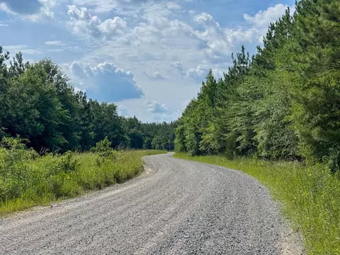 0 Ferguson Rd, Coushatta, LA 71019 photo 2