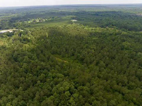 0 Ferguson Rd, Coushatta, LA 71019 photo 8
