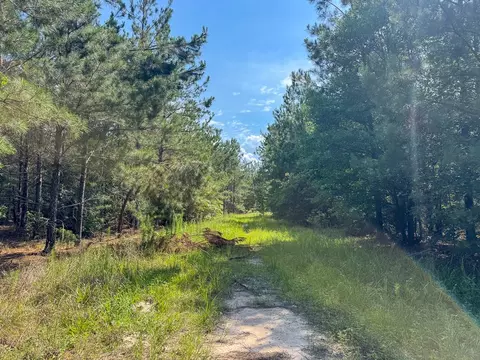 0 Ferguson Rd, Coushatta, LA 71019 photo 6