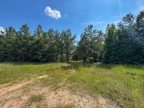 0 Ferguson Rd, Coushatta, LA 71019 photo 4