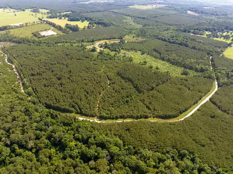 0 Ferguson Rd, Coushatta, LA 71019 photo 9