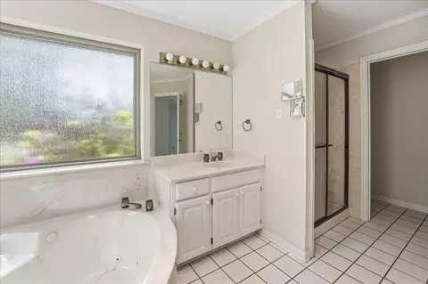 Bath - 15744 Timberhill Dr, Flint, TX 75762 photo 3 of 6