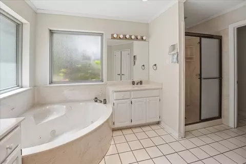 Bath - 15744 Timberhill Dr, Flint, TX 75762 photo 5 of 6
