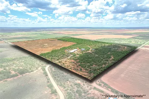 14867 County Road 407, Trent, TX 79561