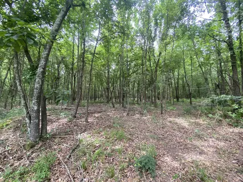 lot10 11 Cr 3920, Mount Pleasant, TX 75455