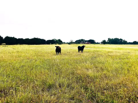 929 Cr 2357, Meridian, TX 76665