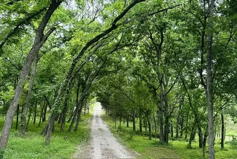 Other - 303 Celtic Rd, Howe, TX 75459 photo 9 of 11