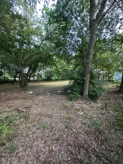 200 E Locust St, Celeste, TX 75423 photo 11