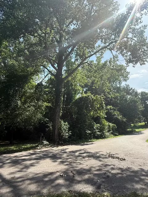 132 Ridgewood Dr, Tool, TX 75143 photo 3