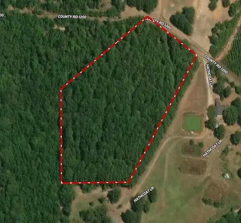 000 Cr 1200, Daingerfield, TX 75686