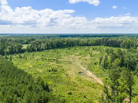 tbd Mule Deer Rd, Gilmer, TX 75644