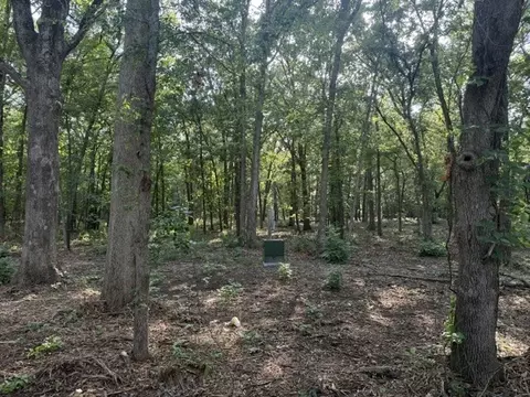57 Pr 43955, Blossom, TX 75416