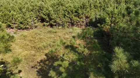 tbd County Road 3121, Long Branch, TX 75669