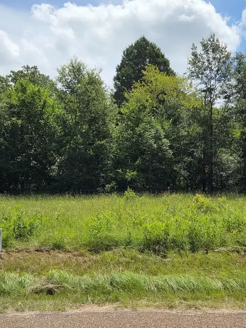 166 Deer Run Rd, Mabank, TX 75156