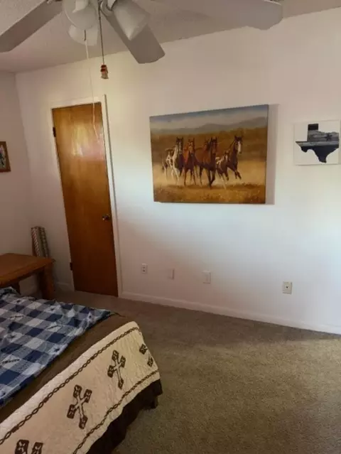 Bedroom - 110 Circle Dr, Point, TX 75472 photo 9 of 9