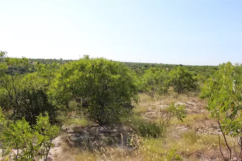 163 Baltrusol Dr, Graford, TX 76449