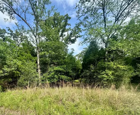 lot2111 Butch Cassidy Dr, Log Cabin, TX 75148