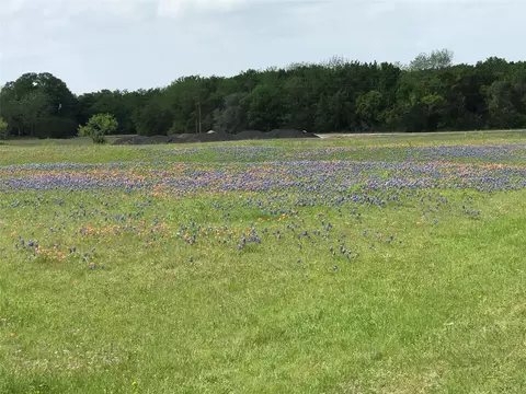1014 White Bluff Dr, Whitney, TX 76692